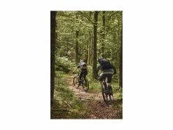 ABUS Casque VTT MoDrop Pine Green 31 ABUS Casque VTT MoDrop Pine Green -Pas Cher Vtt Magasin abus casque vtt modrop pine green 15