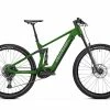 Berria Bikes BERRIA Mako Hybrid HP 6 VTTAE 720WH Green Jungle/grey Keronite 2023
