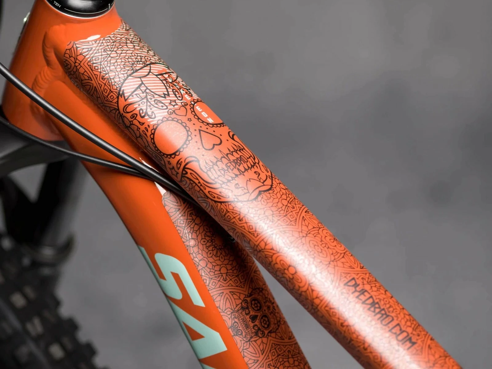 DYEDBRO “Día De Muertos” Stickers De Protection De Cadre VTT 3 DYEDBRO “Día De Muertos” Stickers De Protection De Cadre VTT – Image 3