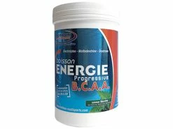 Fenioux Multi-Sports FENIOUX Multisports Boisson énergie Progressive BCAA Menthe - 600g