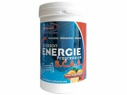 Fenioux Multi-Sports FENIOUX Multisports Boisson énergie Progressive BCAA Orange Sanguine - 600g